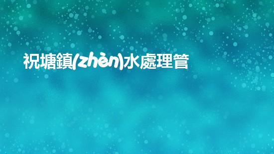祝塘鎮(zhèn)水處理管道清淤：揭秘背后的驚人黑幕！ - 副本